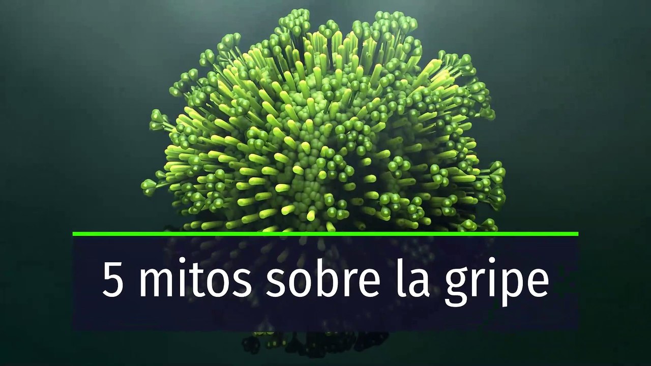 5 mitos sobre la gripe