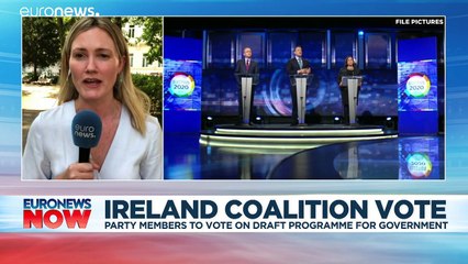 Irish parties await members' verdict on three-way coalition deal