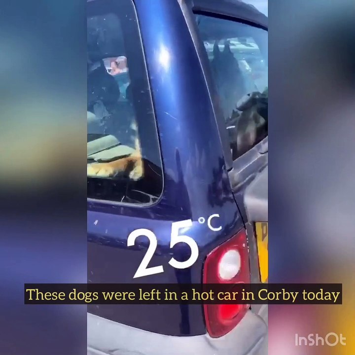 Corby German Shepherd incident