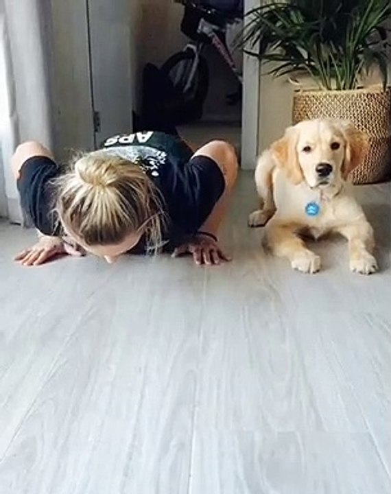 Pup Does Push-ups with His Person