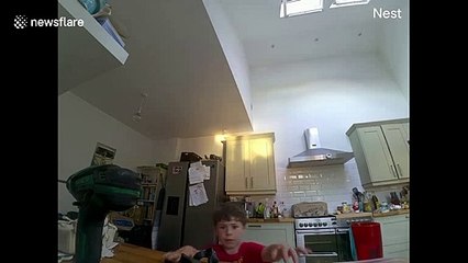 Busted! Boy, 5, caught stealing cookies by camera set up by dad