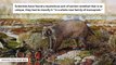 Mysterious New Extinct Giant Wombat Relative Discovered