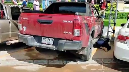 Wild monitor lizard caught after hiding from people inside car engine