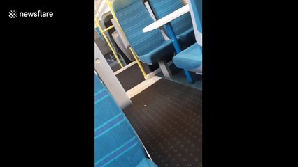 UK train guard brings cheer with poetic COVID-19 announcement