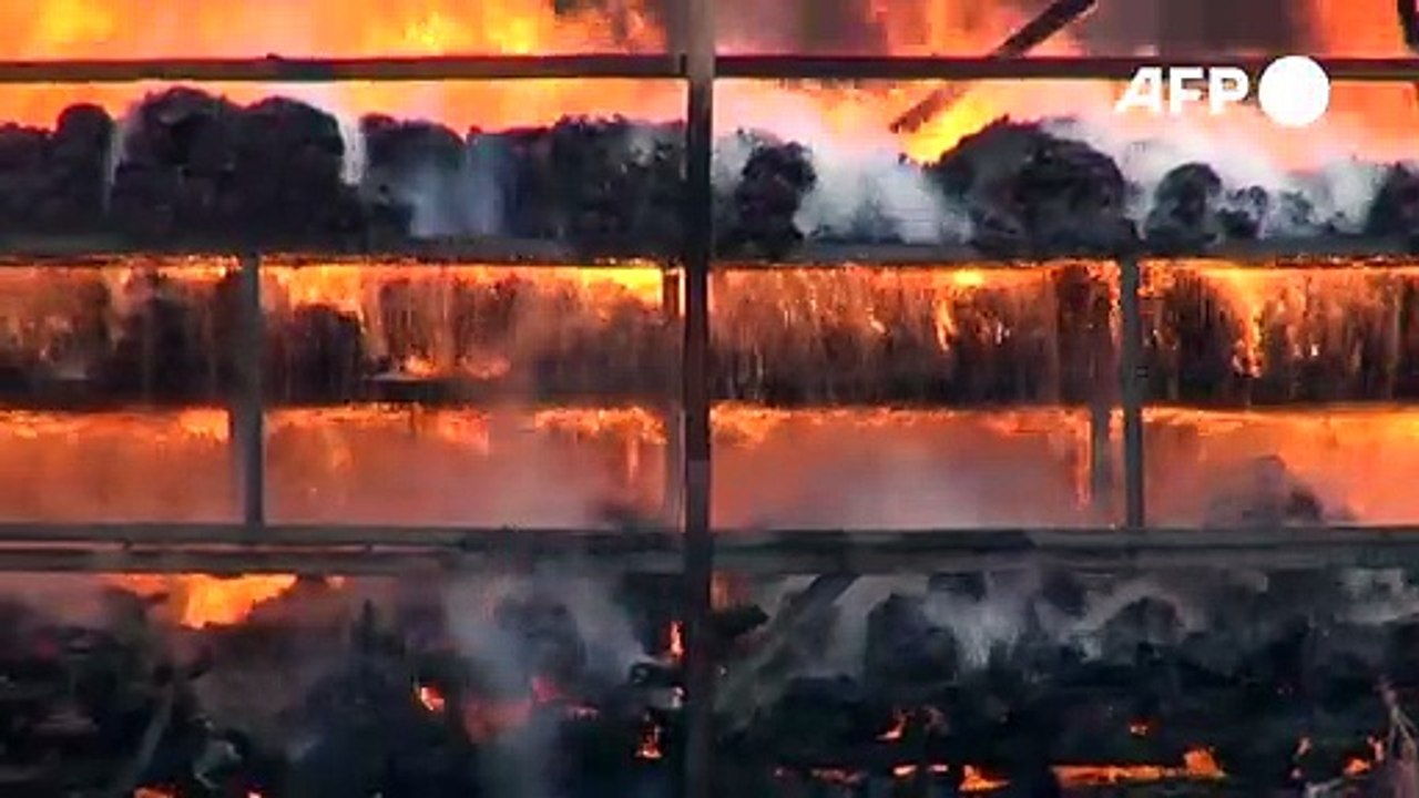 Myanmar und Thailand: Drogen in Milliardenhöhe verbrannt