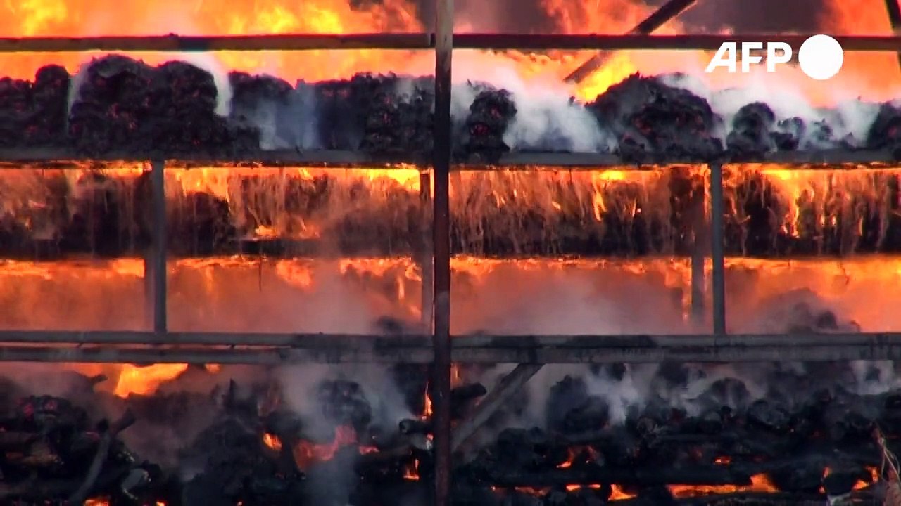 Myanmar und Thailand: Drogen in Milliardenhöhe verbrannt