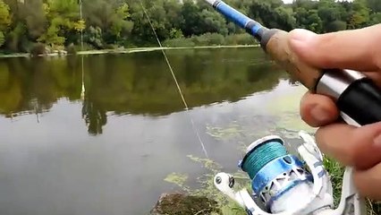 Ce pecheur va avoir beaucoup de chance