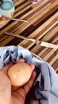 Elle fait croire à son copain qu'un oeuf de supermarché est en train d'éclore dans sa main