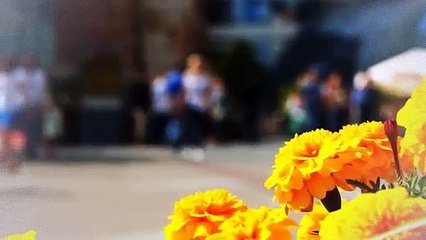 A vendre - Appartement - FORT DE FRANCE (97200) - 4 pièces - 80m²