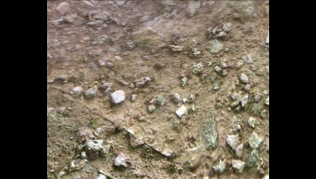 Monumentomum
