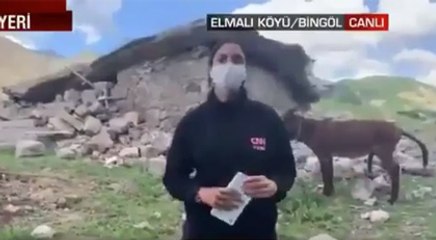 CNN Türk’teki eşek görüntüsü neyi anımsattı