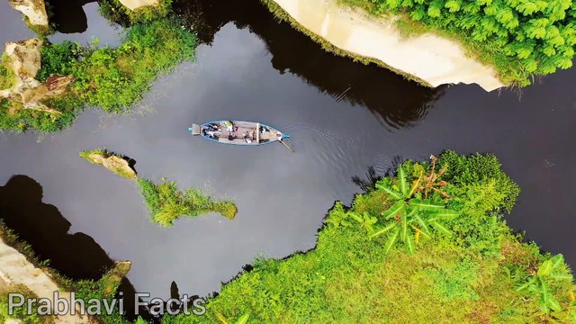 top 5 longest living animals | सबसे लम्बे समय तक जीने वाले 5 जानवर | amazing facts about animals