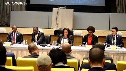 Isabel dos Santos diz que intenção de emitir mandado de captura "é injustificada”