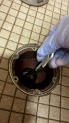 Massive Clog in Shower Drain