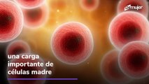 Guardar los dientes de leche de tus hijos ayudaría a tratar y prevenir enfermedades a futuro