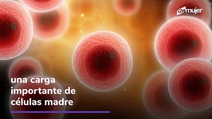 Guardar los dientes de leche de tus hijos ayudaría a tratar y prevenir enfermedades a futuro