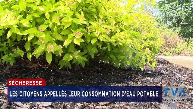 TVA Nouvelles 18H CHAU 26 Juin 2020