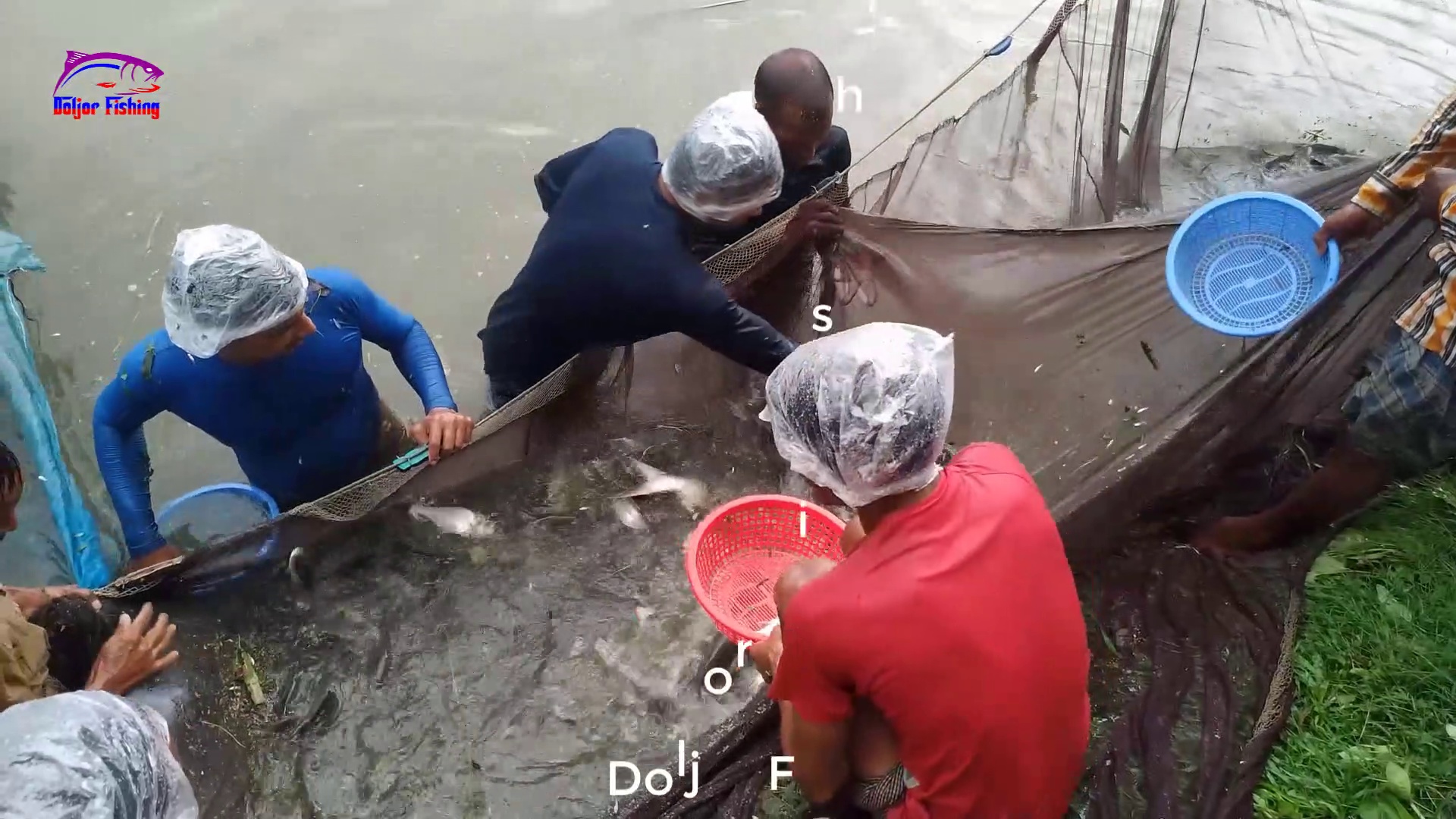 Amazing Fishing Videos-2020 ||  Chaka Fish Video In the Village Pond || By Doljor Fishing