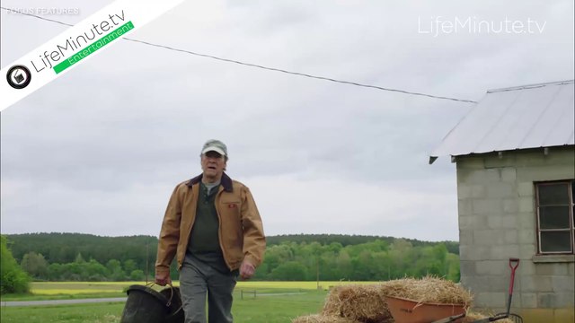 Steve Carell and Irresistible Cast Say Jon Stewart's Political Satire is an Equal Offender