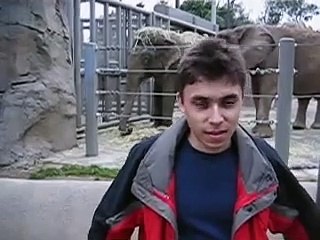 World's first youtube video-April24,2005