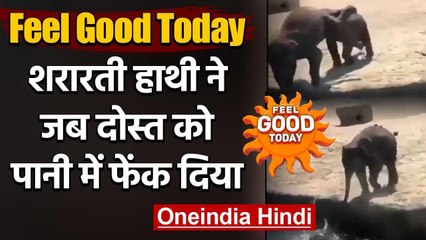Feel Good Today: शरारती Elephant ने जब दोस्त को पानी में फेंक दिया | Viral Video | वनइंडिया हिंदी