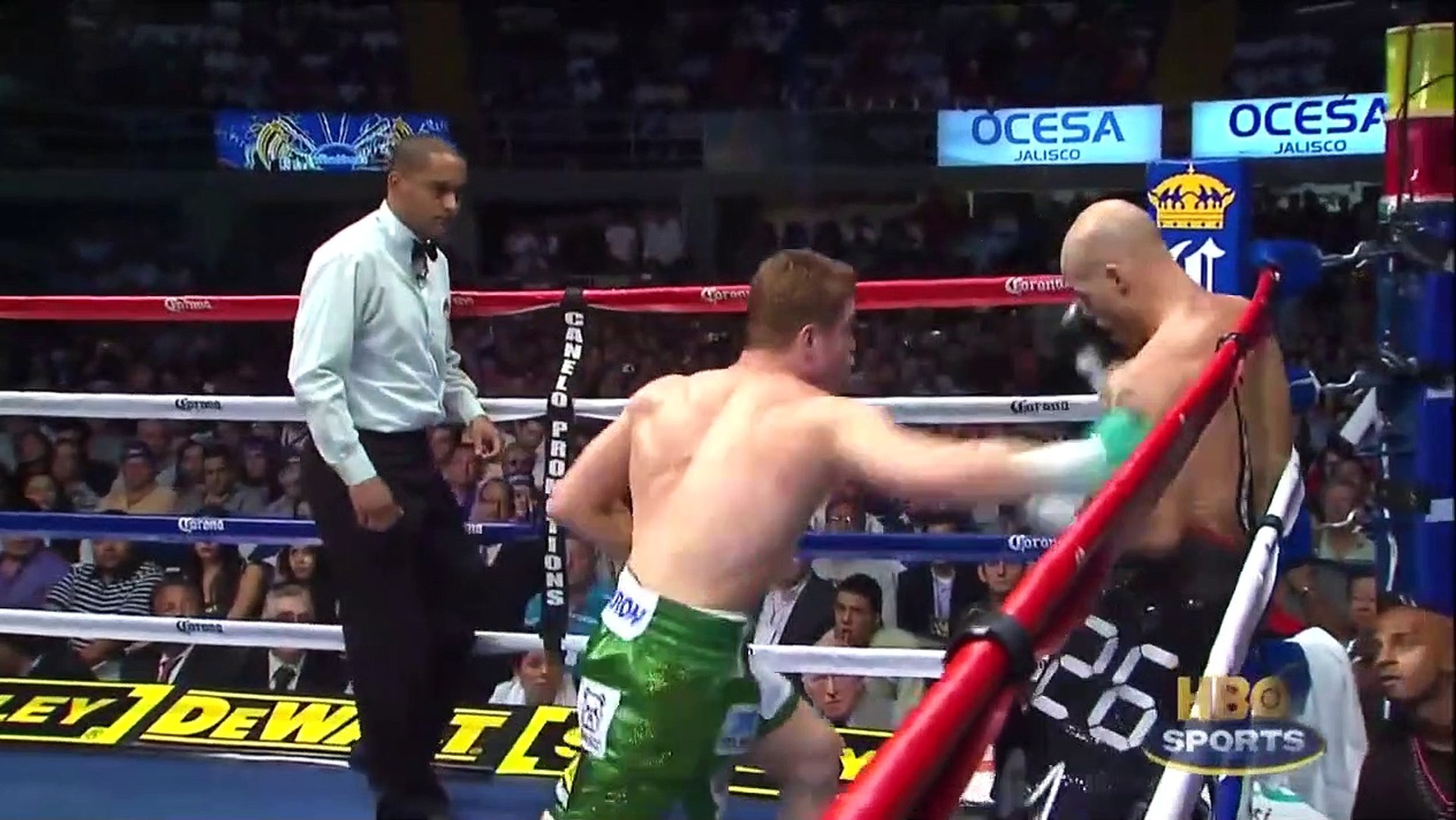 ⁣Saul Alvarez vs Ryan Rhodes Full Fight