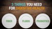 Digestive Health - Heal Your Gut | 5 Steps For Digestive Healing (+ What I Did)
