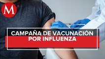 Vacuna contra influenza llegaría en septiembre a México, ¿cómo se fabrica?