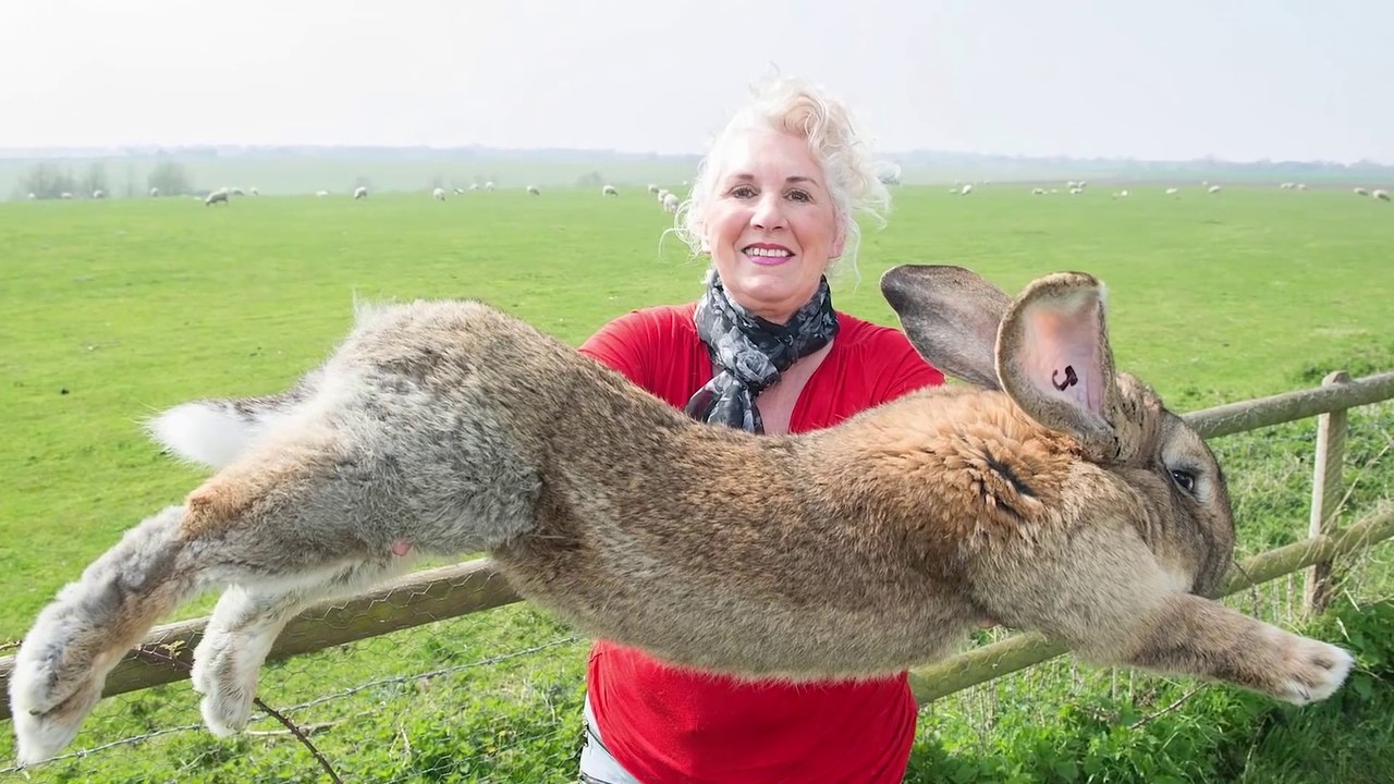 10 Largest Animals Ever Discovered