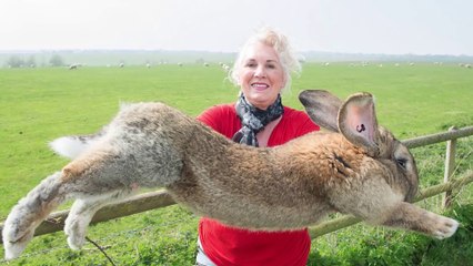 10 Largest Animals Ever Discovered