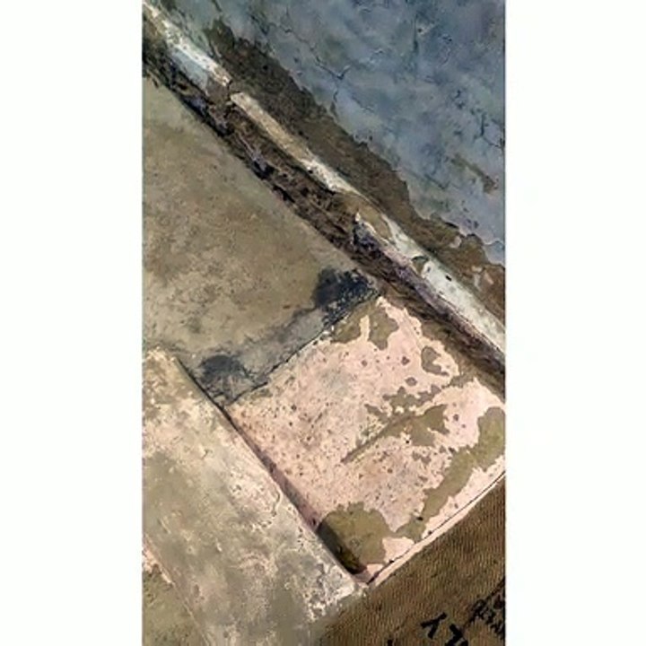 लाखो की संख्या में टिड्डियों का हमला