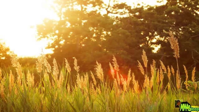 [ FREE ] Healing MUSIC | MUSIC to go INTO Trance N°18 | Hypnotic HEALING Meditation N°3 |167 - Dailymotion