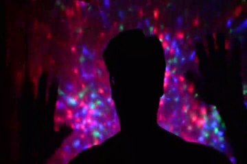 1748. DON'T GET THIS BREED OF DOG. HEALTH REASONS ARE BAD.