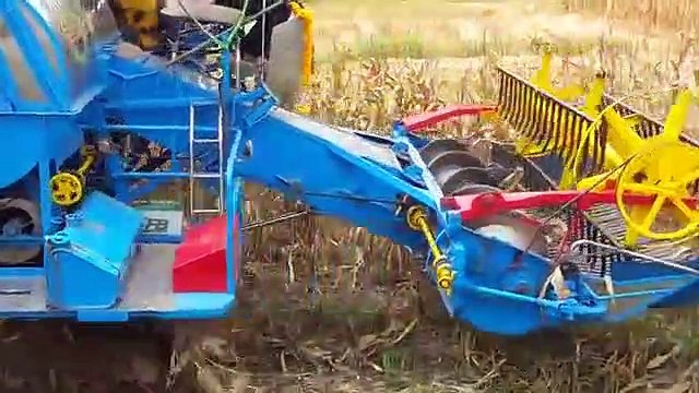 Amazing Primitive Farming Equipment - Rice Harvest, Corn Harvest, Sugar Harvest