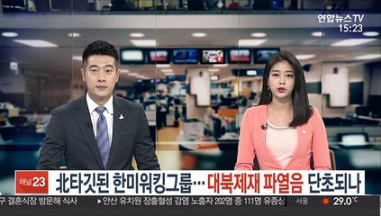 北타깃된 한미워킹그룹…'대북제재' 파열음 단초되나