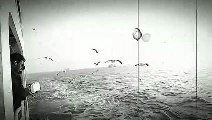 Saint martin tour 2018