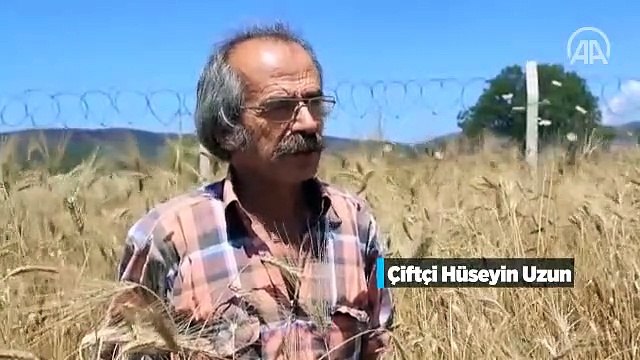 Ürettiği buğday için bir yıl öncesinden sipariş veriyorlar