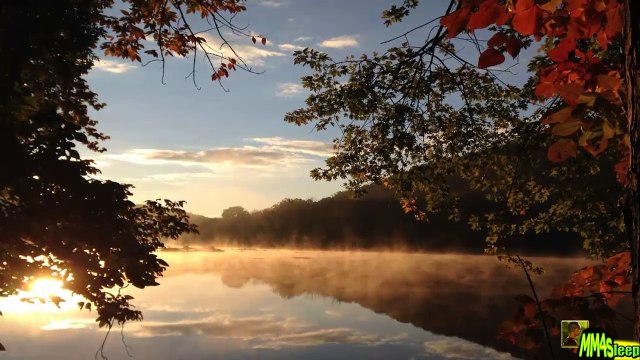 [FREE] Healing MUSIC | MUSIC to go INTO Trance N°20 | Rhythmic BREATHING Meditation MUSIC |169 - Dailymotion