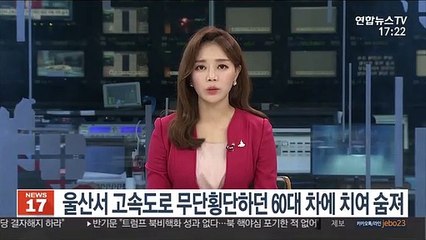 울산서 고속도로 무단횡단하던 60대 차에 치여 숨져