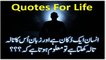 Urdu Quotes | quotes about life | best quotes | quotation | positive quotes | quotes | motivational |  Urdu Poetry Shayari With Ibn e Ata | Ibn e Ata | Urdu Poetry | urdu Shayari | ibne ata