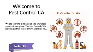 Bell termite and Pest Control CA offers you quality pest control services