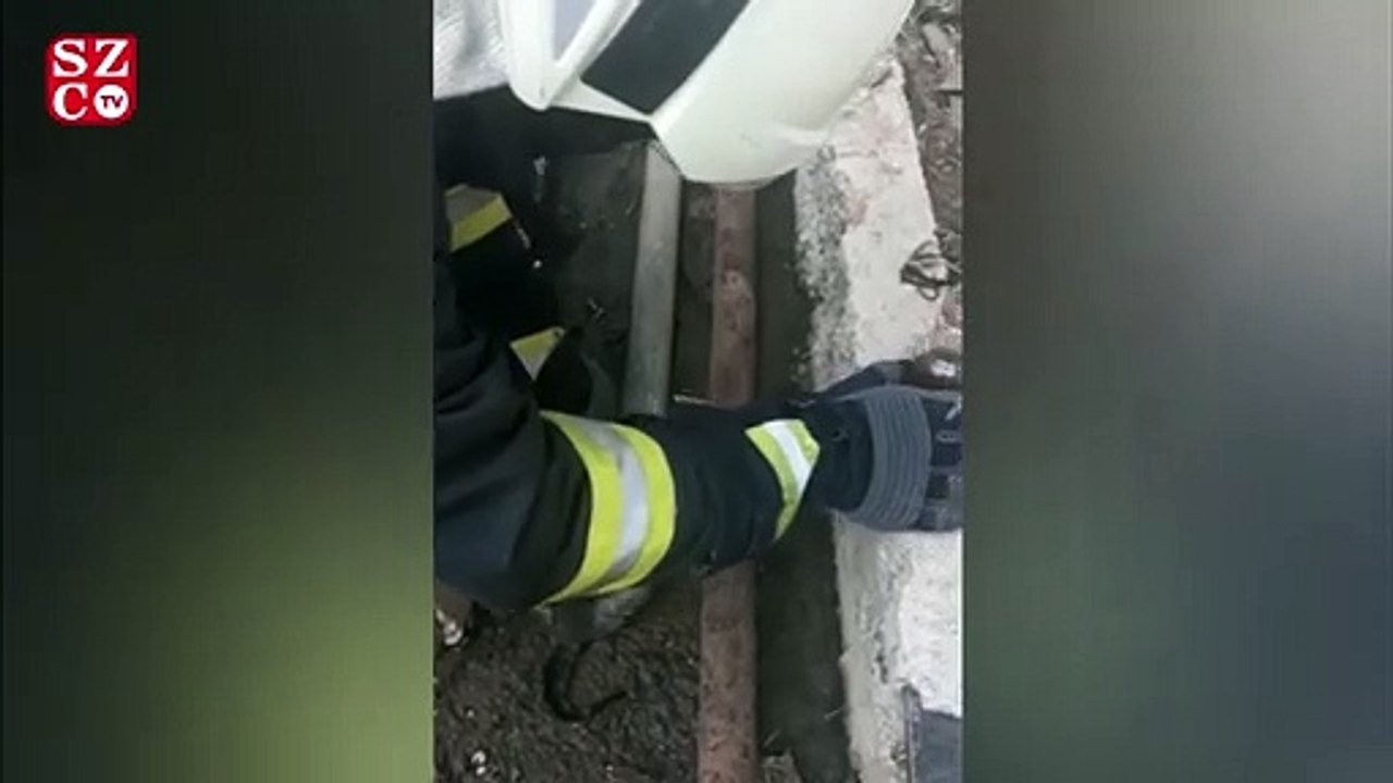 Su borusuna sıkışan yavru kedi kurtarıldı