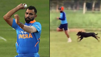 Mohammed Shami Sprints Alongside His Pet Dog To Improve Speed || Oneindia Telugu