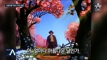 인종차별 논란에 디즈니랜드 들썩…놀이기구 테마 변경