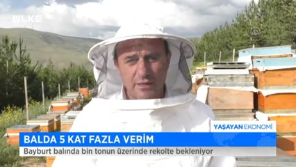 Yaşayan Ekonomi - 28 Haziran 2020