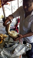 20200618_美味しいドリアン Delicious Durian