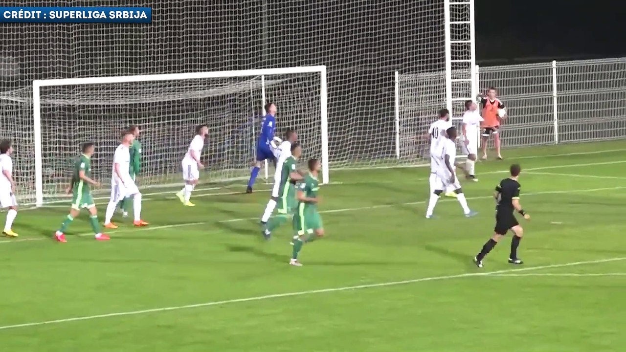 Les plus beaux arrêts de Djordje Petrovic, la nouvelle pépite serbe au poste de gardien