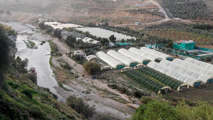 تقدر بـ100 مليون دولار.. خسارة المزارعين في الأردن بسبب جائحة كورونا