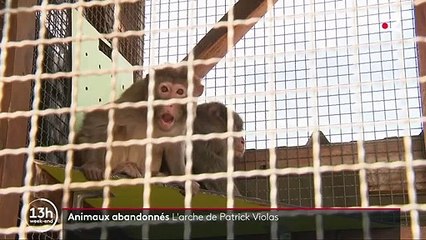 Eure-et-Loir : un nouveau refuge pour les animaux abandonnés