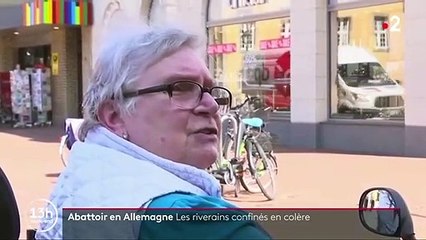 Allemagne : le plus grand abattoir d’Europe touché par le coronavirus